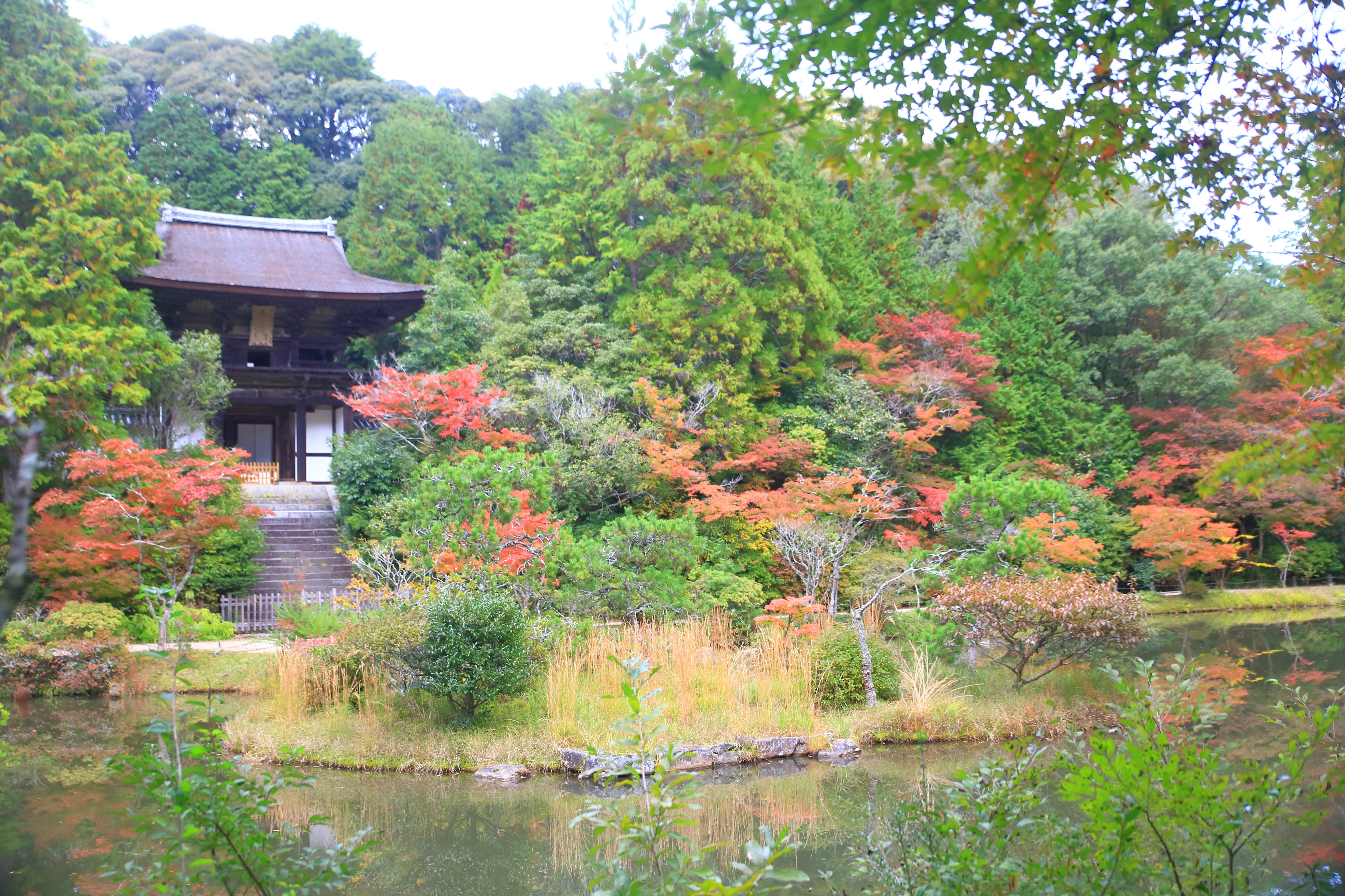 Enioji Temple in Autumn