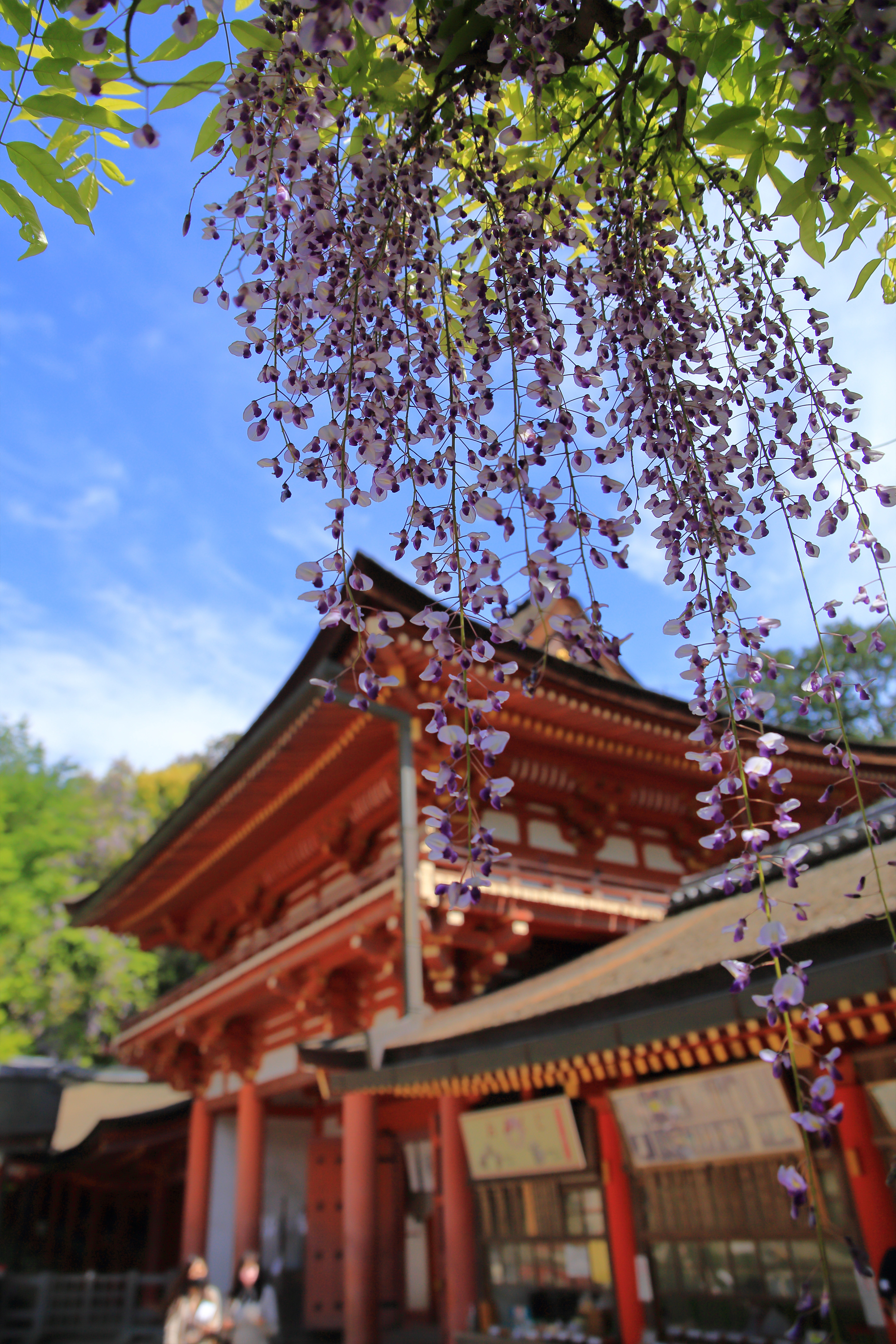 Kasuga Grand Shrine